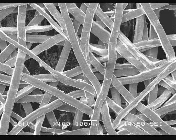 Titanium fiber00101