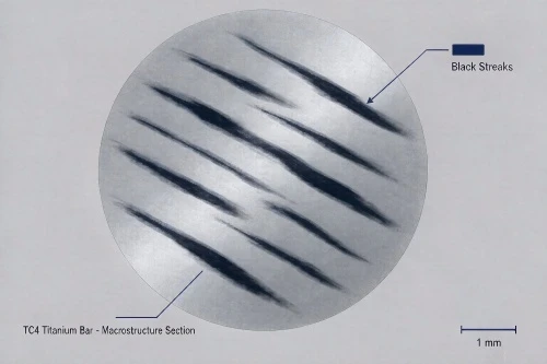 fig1macrostructure fig1macrostructure