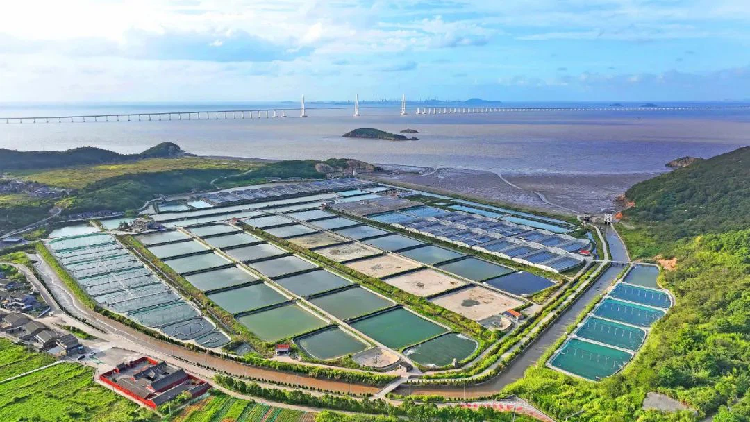 10f7-248a6f6808ea65ef51787277d967a01d 10f7-248a6f6808ea65ef51787277d967a01d