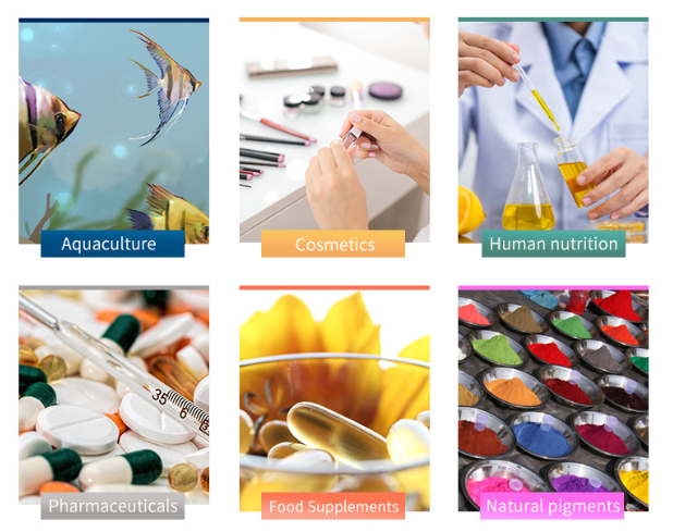 Applications 1 Applications 1